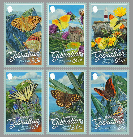 Butterflies of Gibraltar II