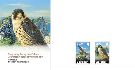 Gibraltar - Liechtenstein Joint Issue