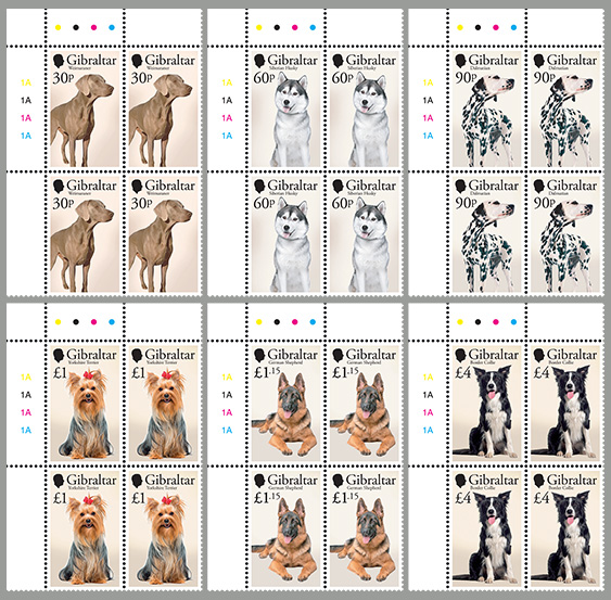 Dogs