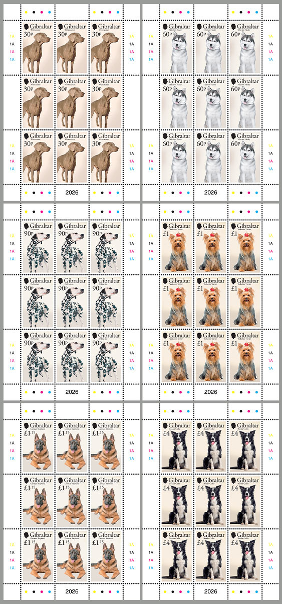 Dogs